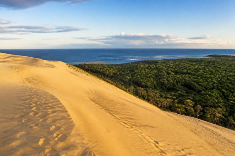 découvrez la dune du pilat, un trésor naturel unique entre l'océan atlantique et la forêt landaise, pour des promenades inoubliables et des paysages à couper le souffle.