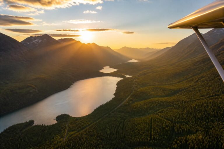 découvrez google fly, une expérience immersive unique pour explorer des paysages à couper le souffle depuis chez vous.